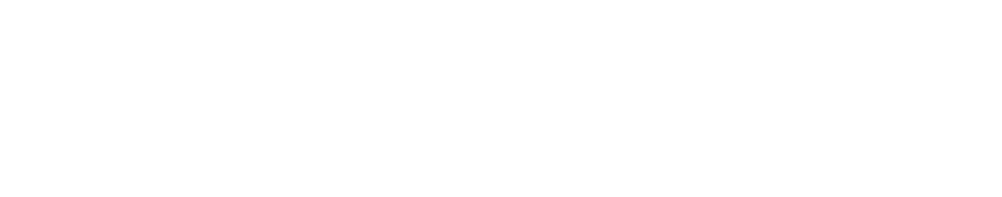 Leistungen weiß